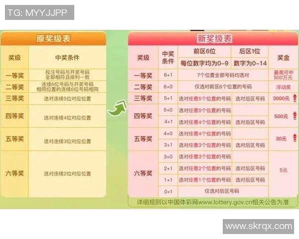 中国体育明星训练馆综合评比及排名分析揭示运动员成长的秘密