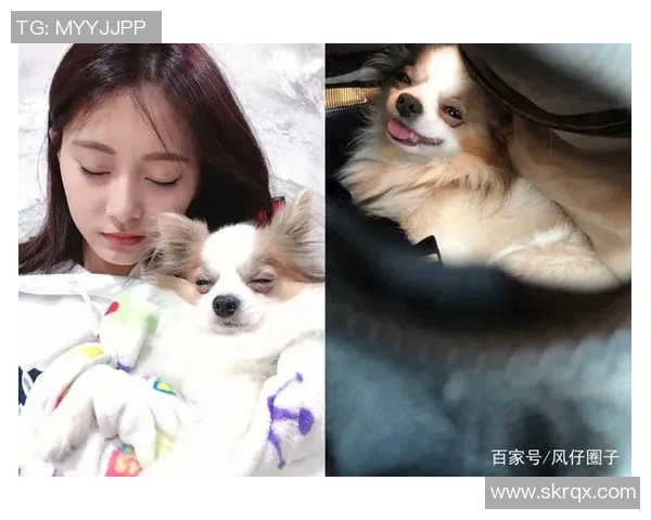 足球明星与爱犬之间深厚情感的温馨瞬间与生活点滴分享